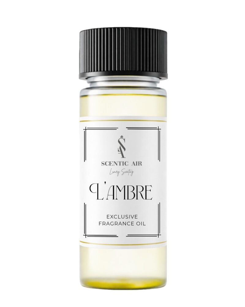 L'ambre